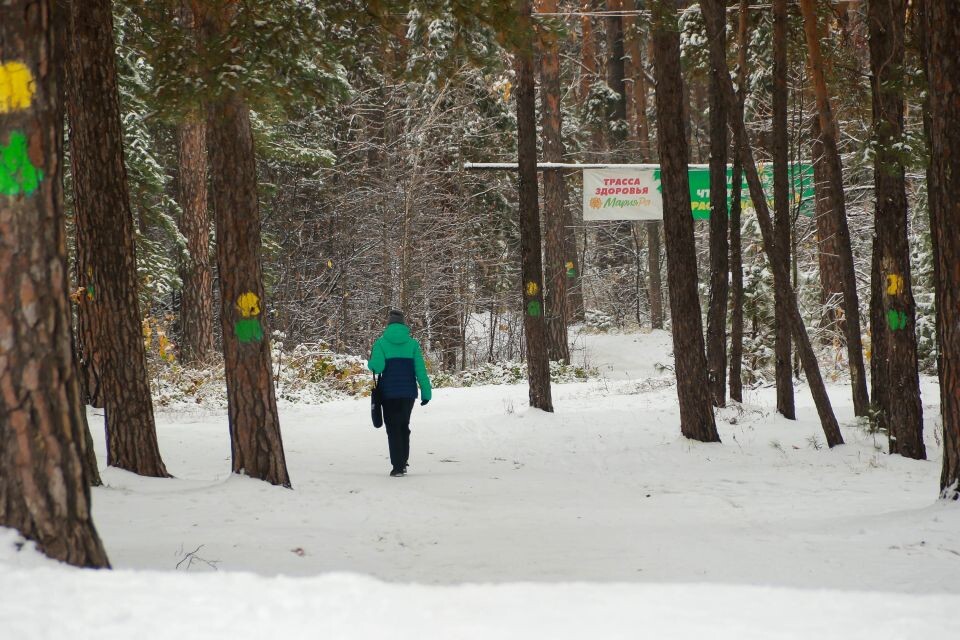    Трасса здоровья. Источник: Виталий Барабаш