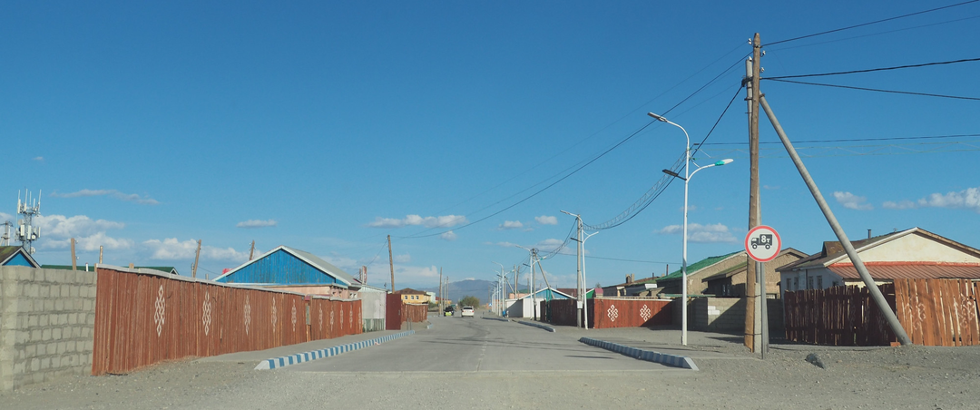 Привет, Монголия! Часть 4. Языковой квест, бездорожье и личный питомец