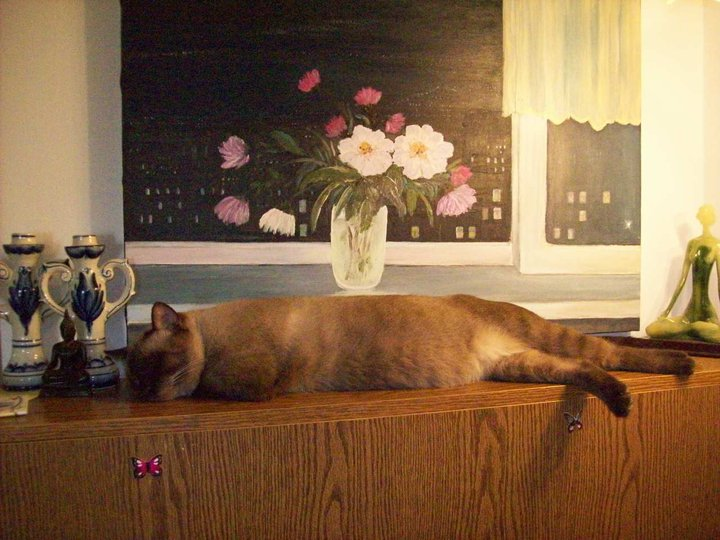 мой кот рекламирует мою картину