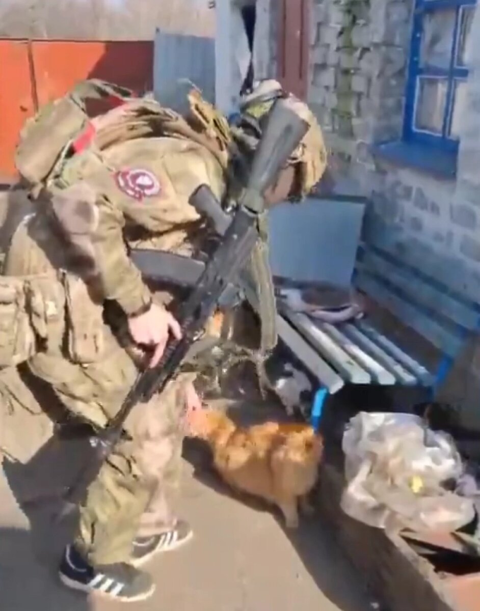    Фото: VK-паблик «Народный фронт | Санкт-Петербург»./ скриншот видео