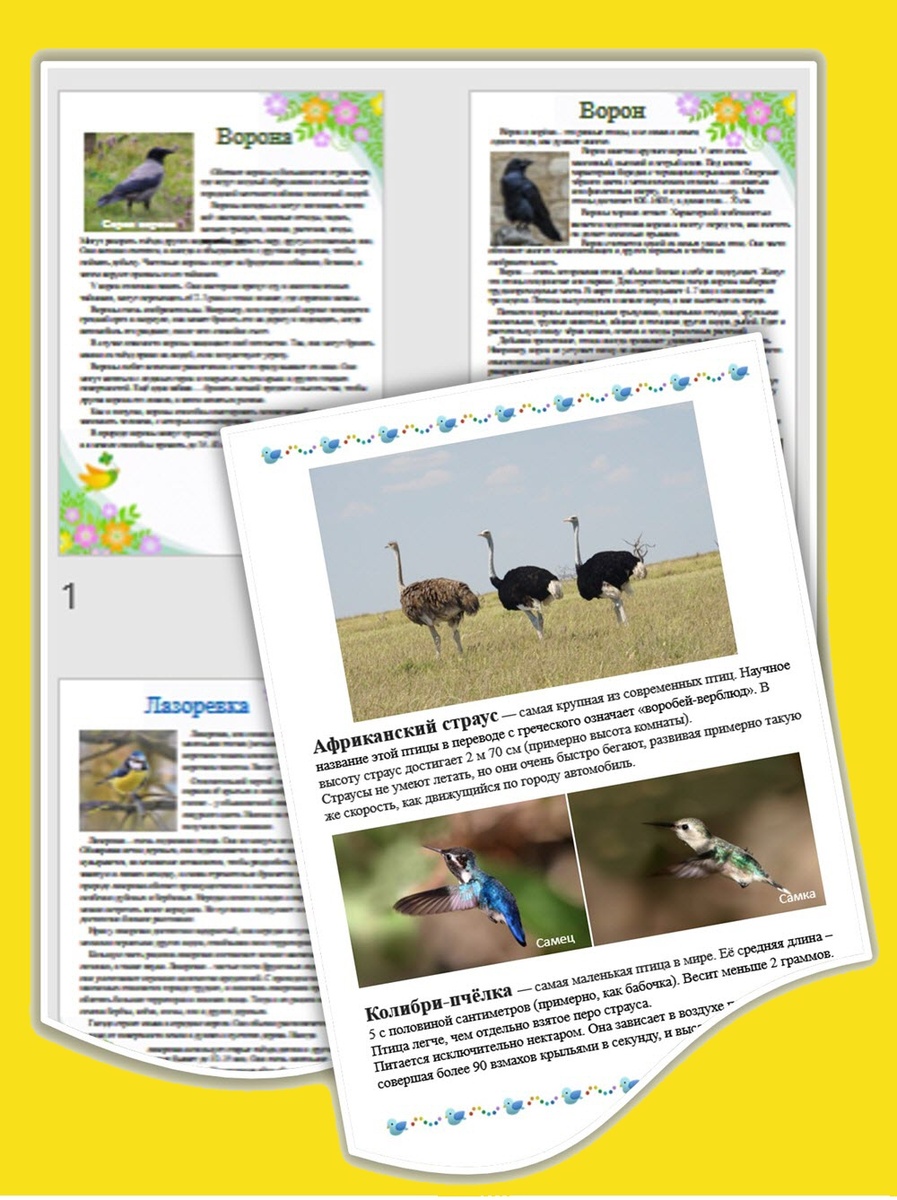 Файлы на Международный день птиц