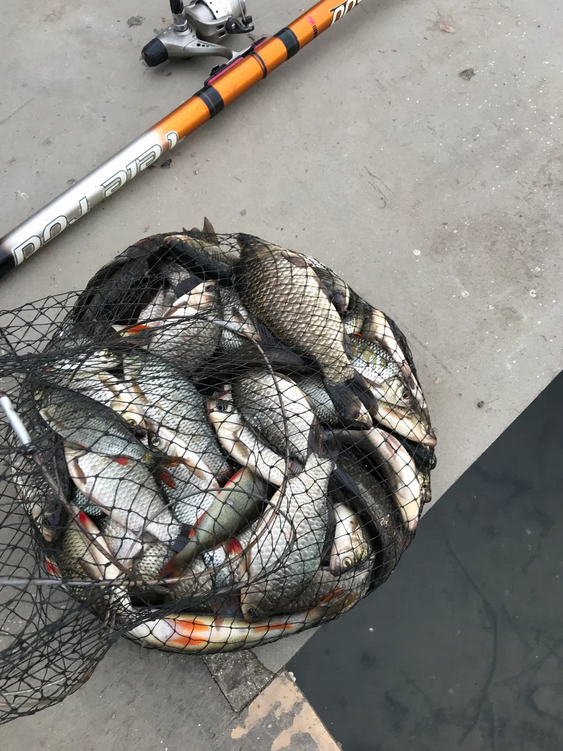 Обычный улов.......