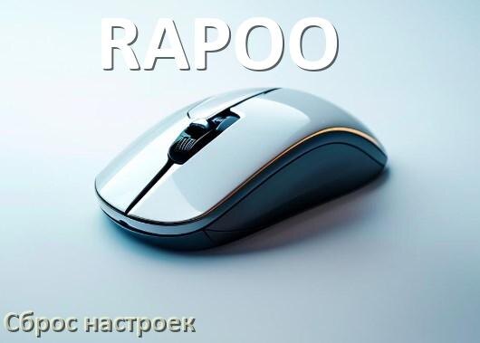 
Как сбросить настройки мыши RAPOO на заводские по умолчанию в Windows 11 и 10