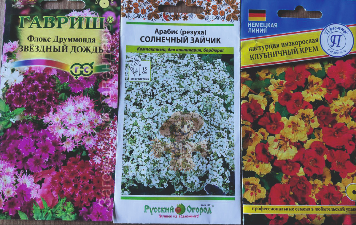 Семена цветов для посадки с теплицу на рассаду