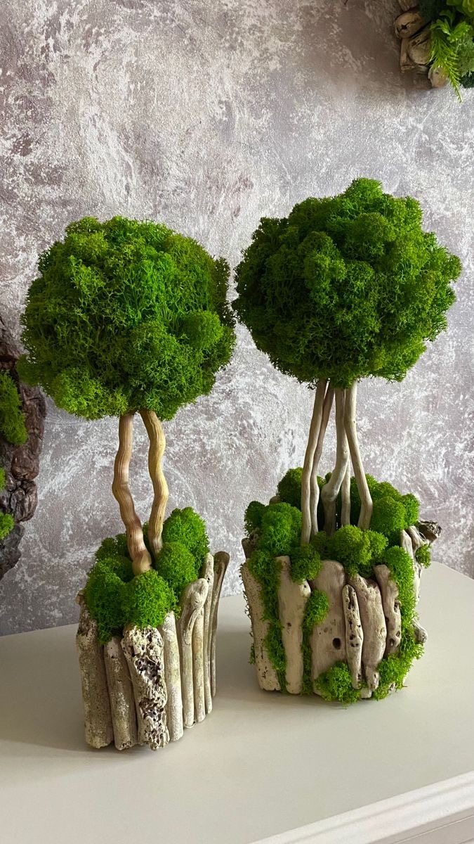 Декоративный ягель