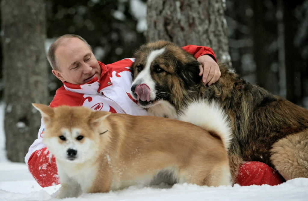 Президент и собаки. Фото из интернета.