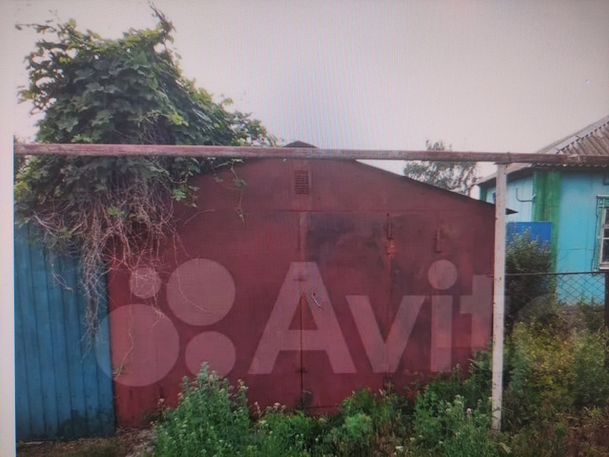 Гараж. Сверзу видно-с чем мне придется бороться с этой ползучей гадостью.