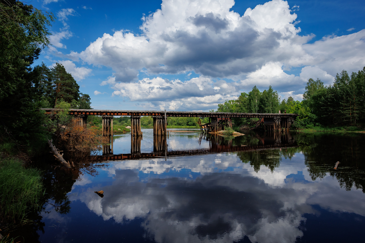 Мост, через который мы перешли и гуляли вдоль берега и леса