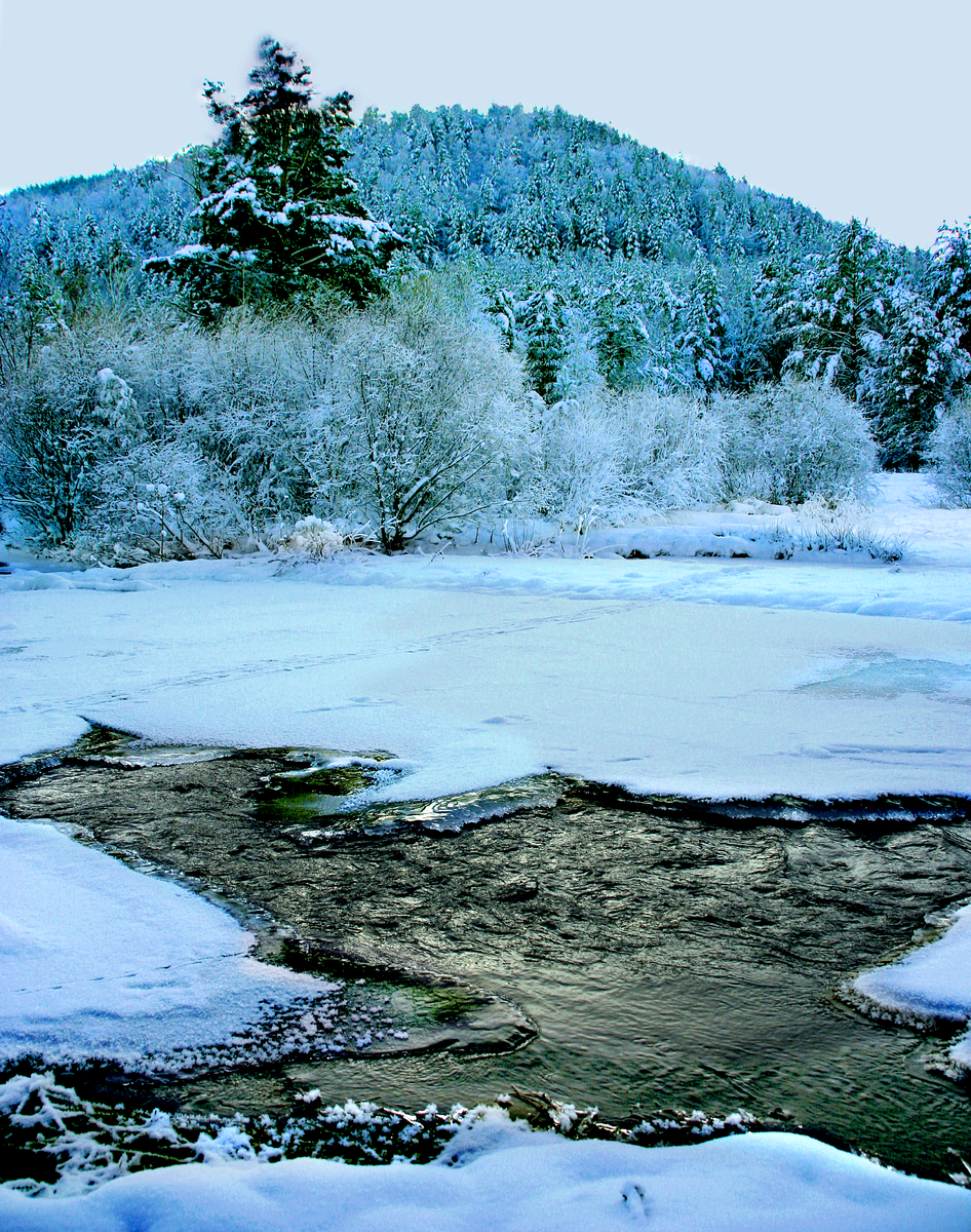 Фотография, стихотворение Василия Глуцкого