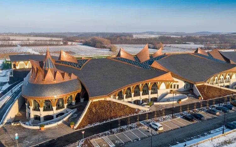    Источник фото: ФК «Академия Пушкаша»