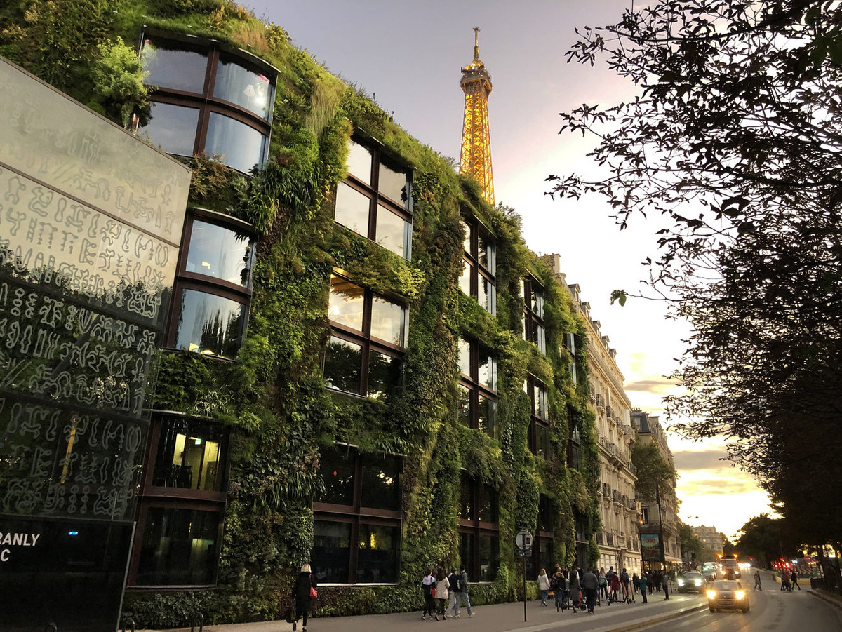 Quai Branly Jacques Chirac Museum, Vertical Garden by Patrick Blanc at sunset, Oct. 2019 (Photo by Patric Blank)