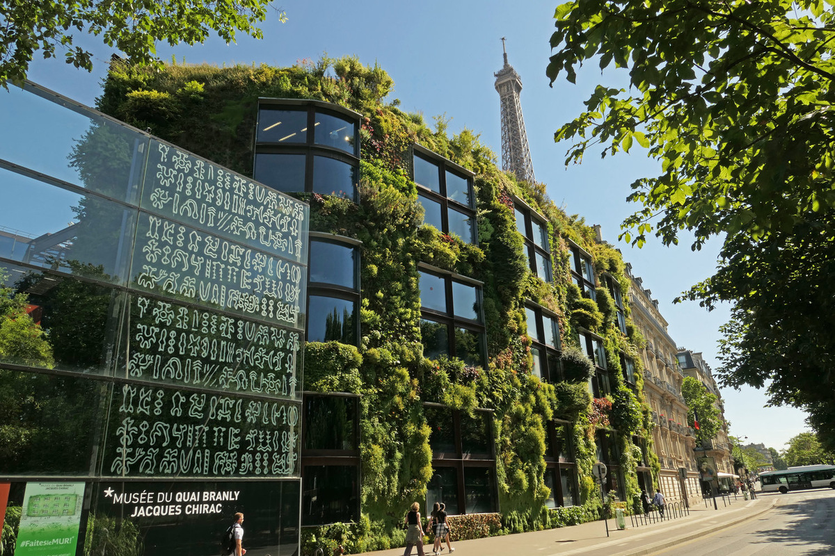 Quai Branly Jacques Chirac Museum, the Vertical Garden by Patrick Blanc, 13 years after its creation, June 2017 (photo by  Patrick Blanc)