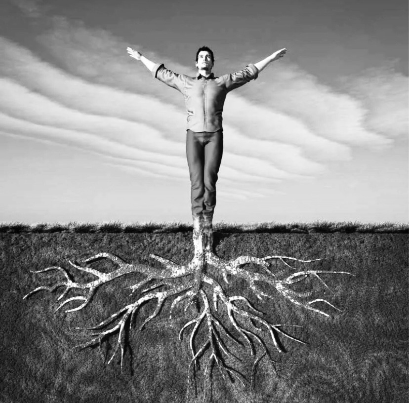 Появились конкуренты? Проращиваем корни и вытесняем сорняки!