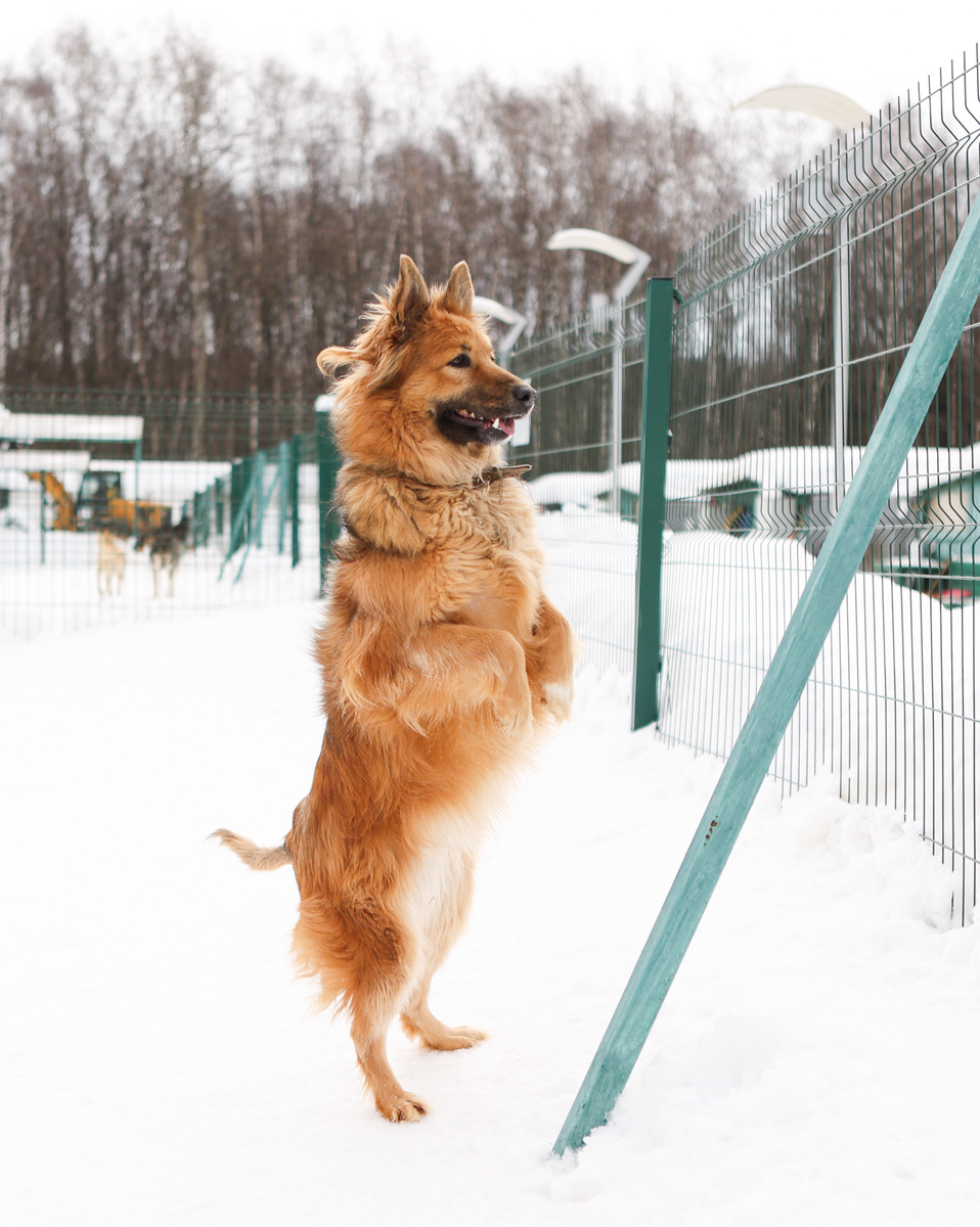Мне? Позвонили?