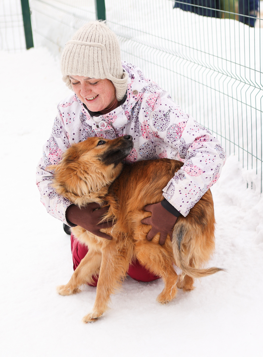 Три будки? А это хорошо или плохо?