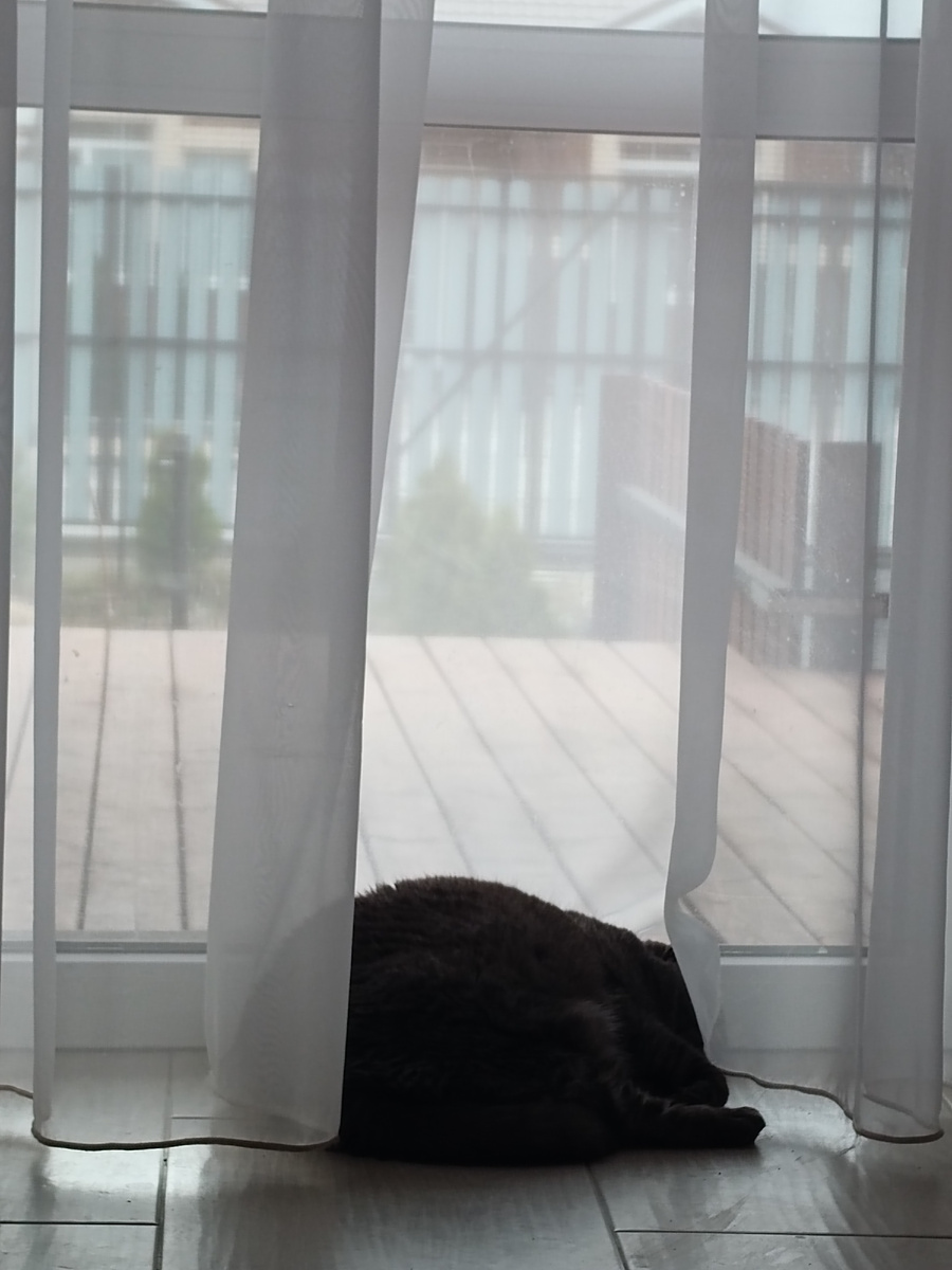 Храпит на весь дом😆