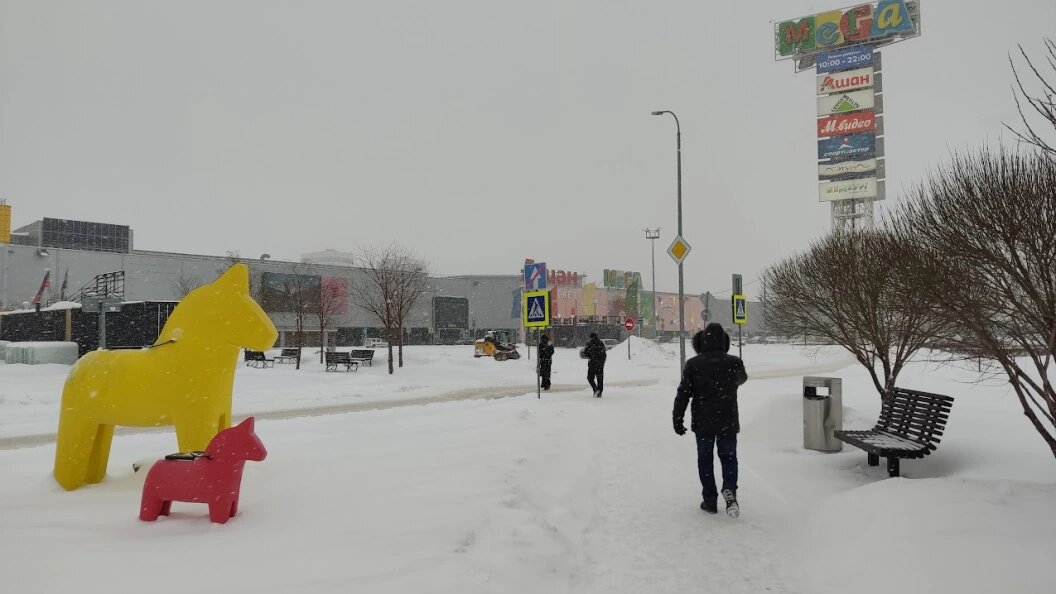    Фото: Царьград Новосибирск