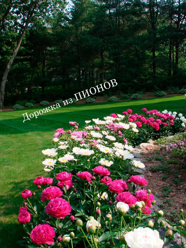 два фото ланшафта