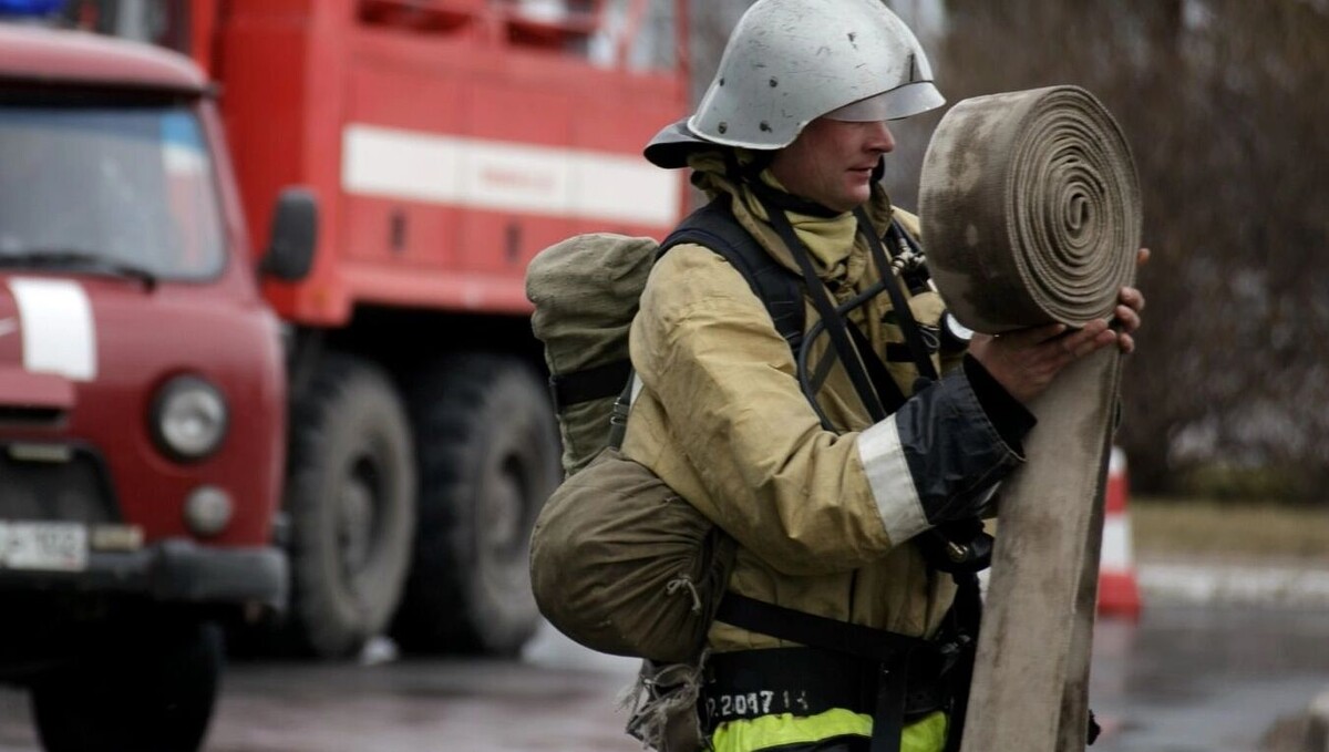     Источник: 1MI