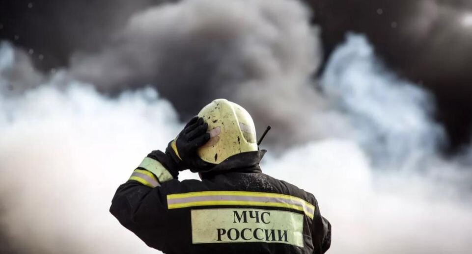    РИА «Новости»