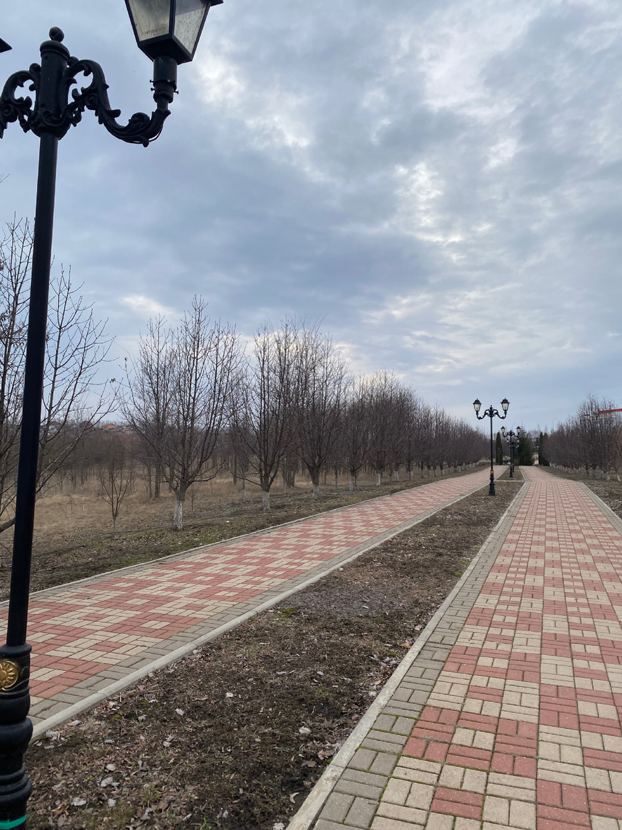 Гуляю днем и утром 