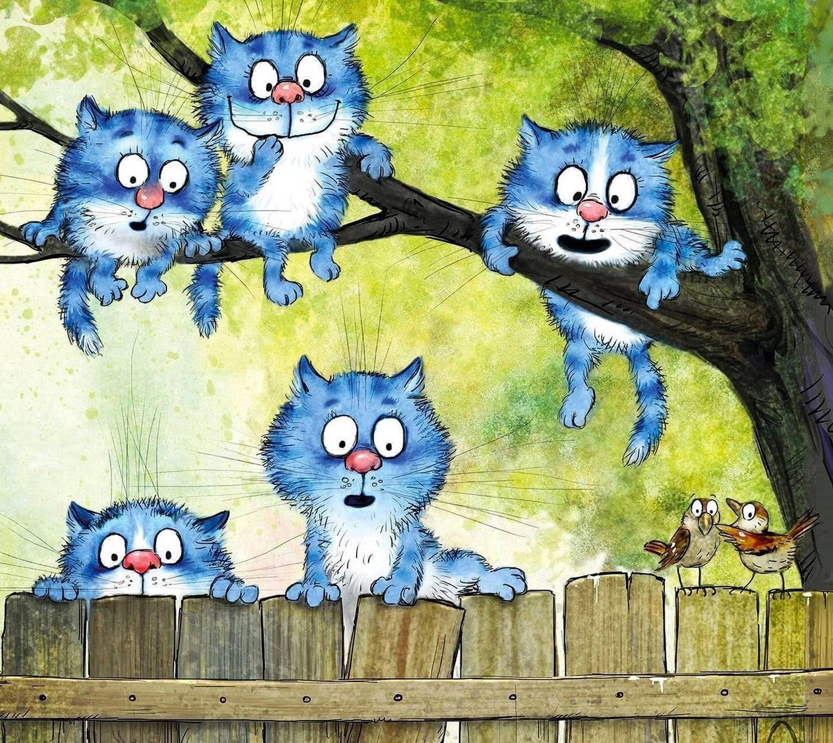 котята Рины Зенюк