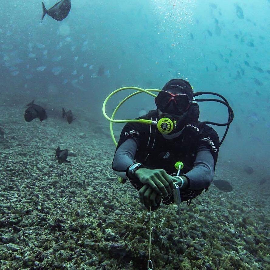 Mox Ismail - операционный директор Maldivian Charter Club - @mox_dives