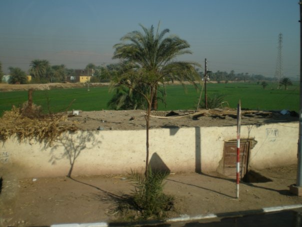 Жилой дом и поля по пути к Луксору.