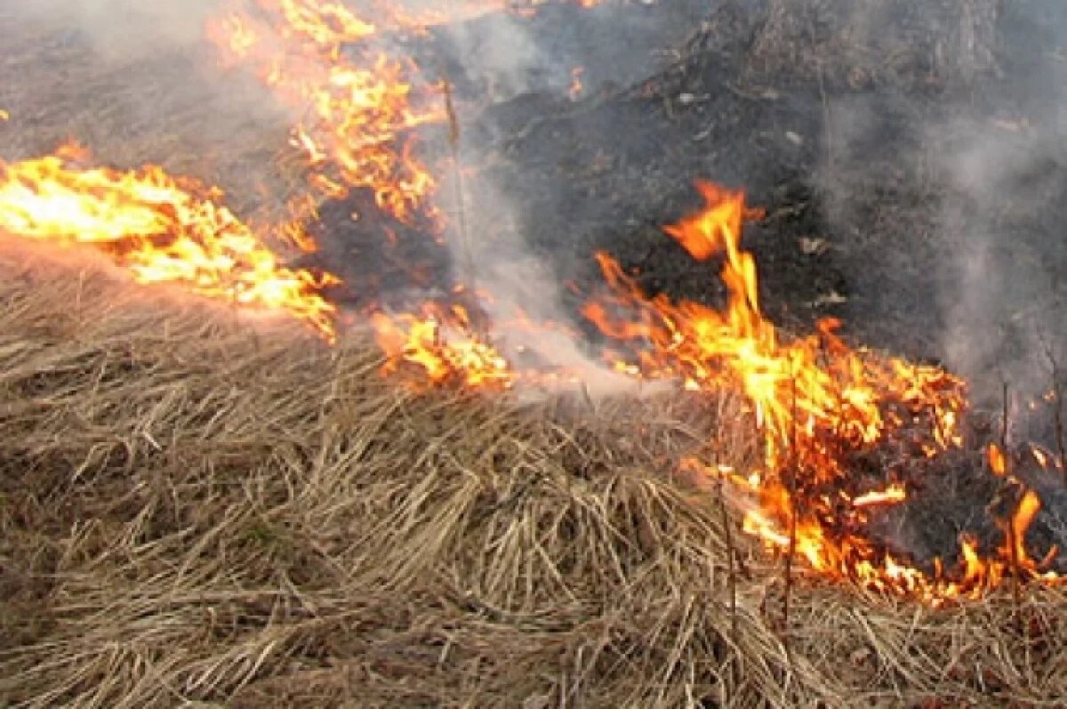    Пожар на склоне горы в Дагестане могла спровоцировать местная жительница
