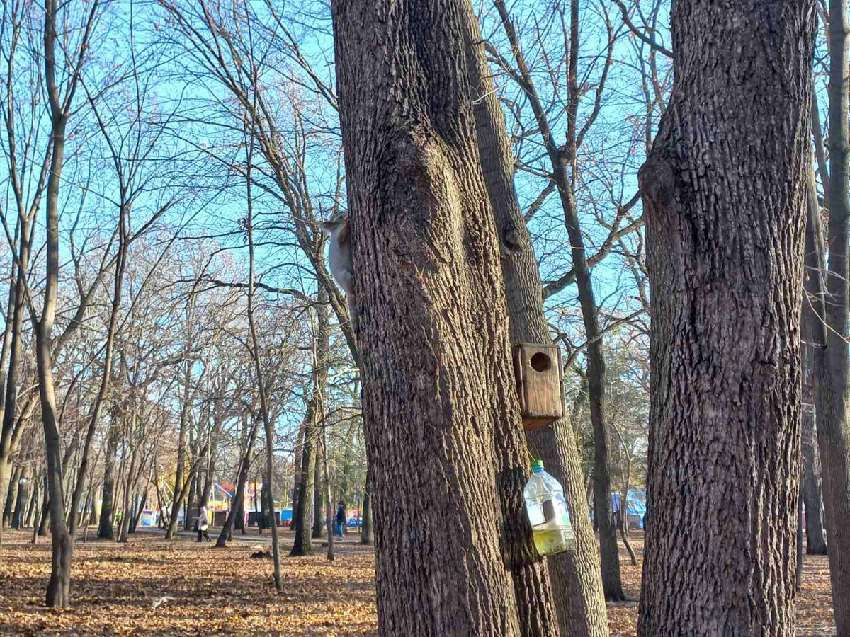 Фото автора.