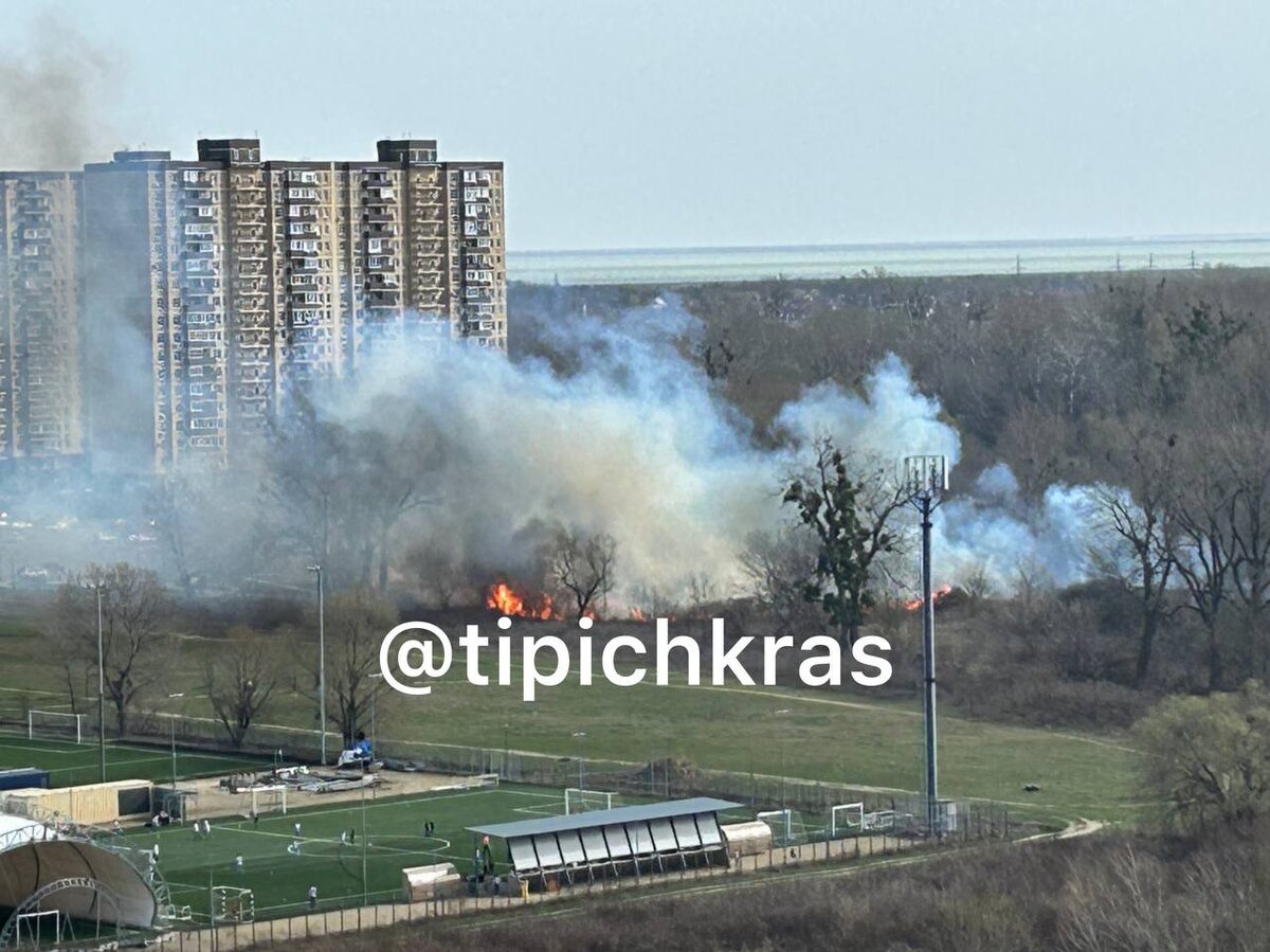    Фото: соцсети