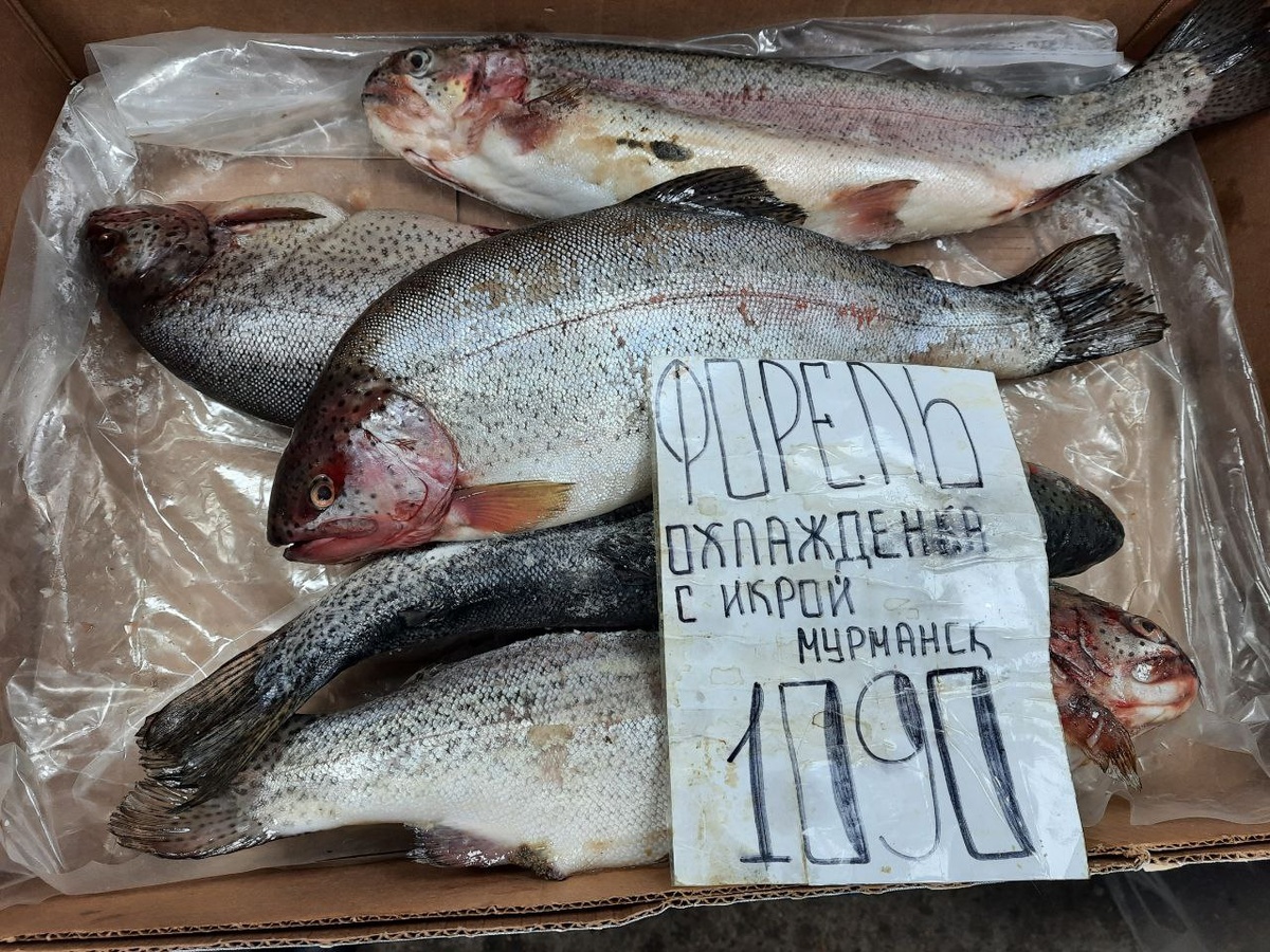 Из личного архива