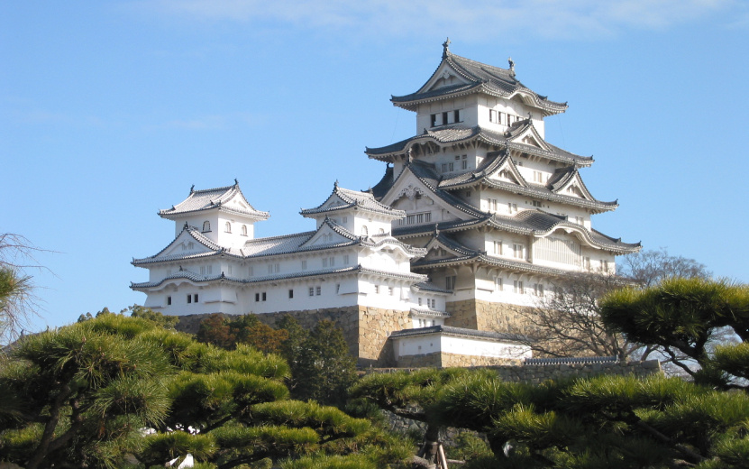 Белая цапля Японии. Фото: by ja:User:Reggaeman. ja:画像:Himeji-jo.jpg, Общественное достояние, commons.wikimedia.org/w/index.php?curid=381551