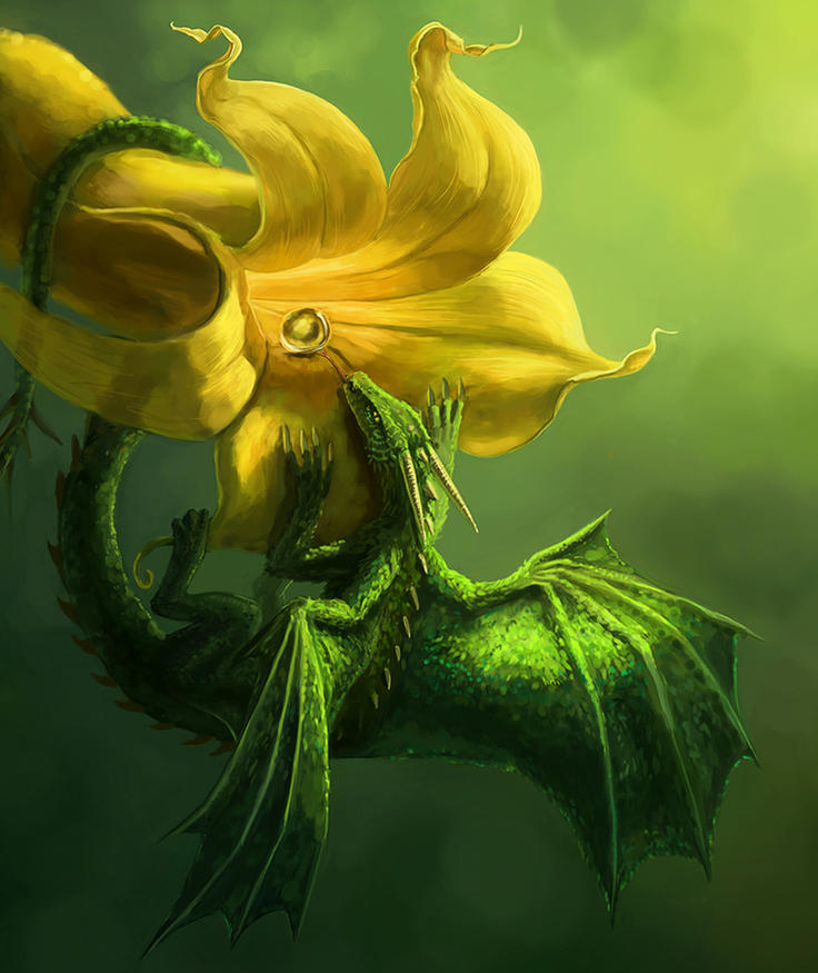 Это миниатюрные драконы. (Фото: i.pinimg.com).