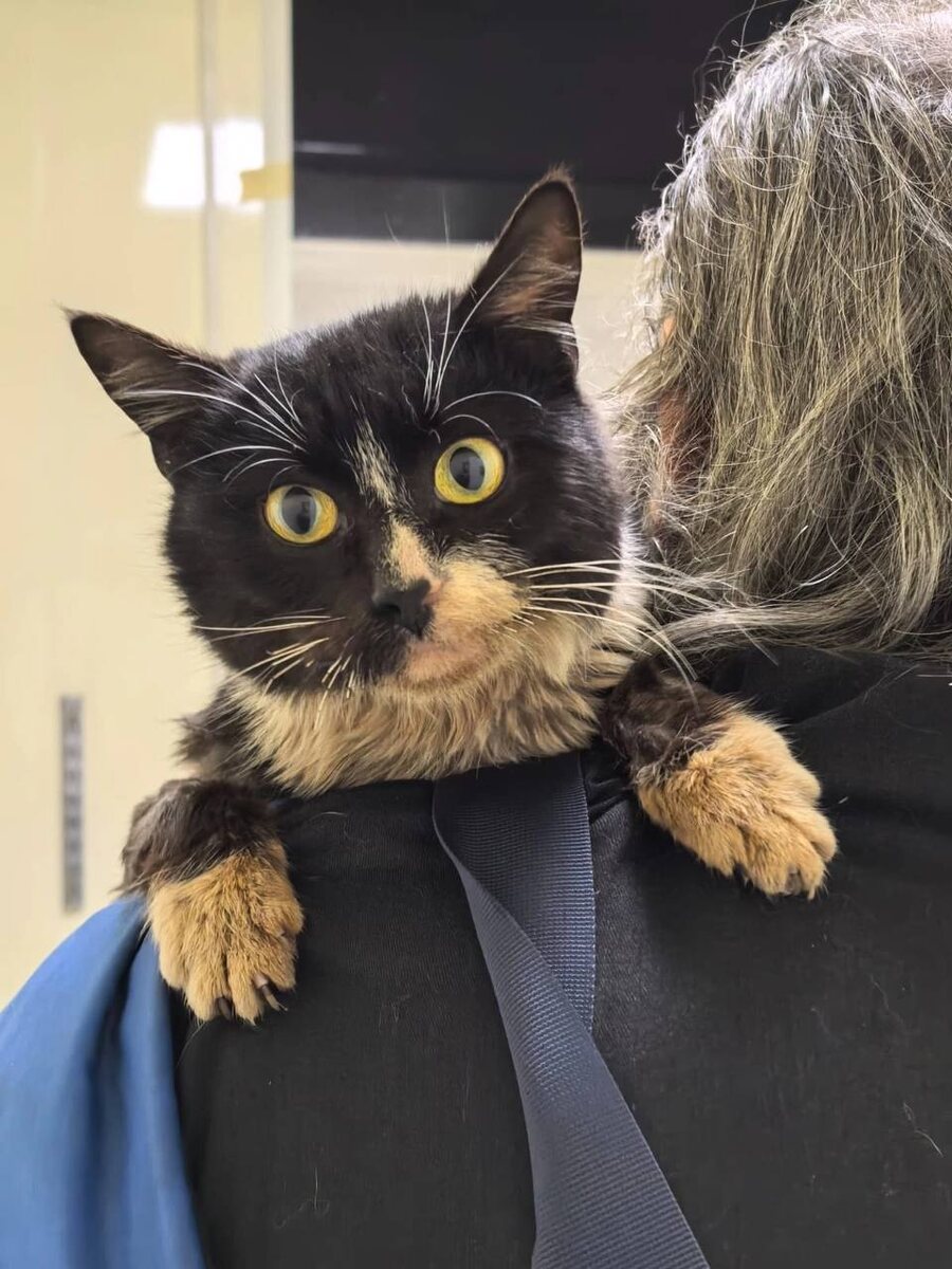 Фото из архива автора