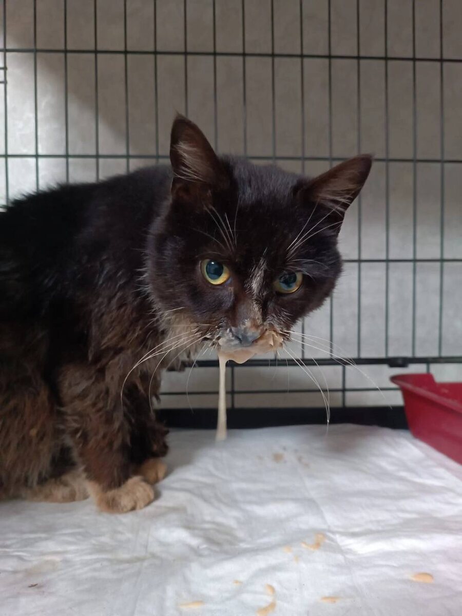 Фото из архива автора