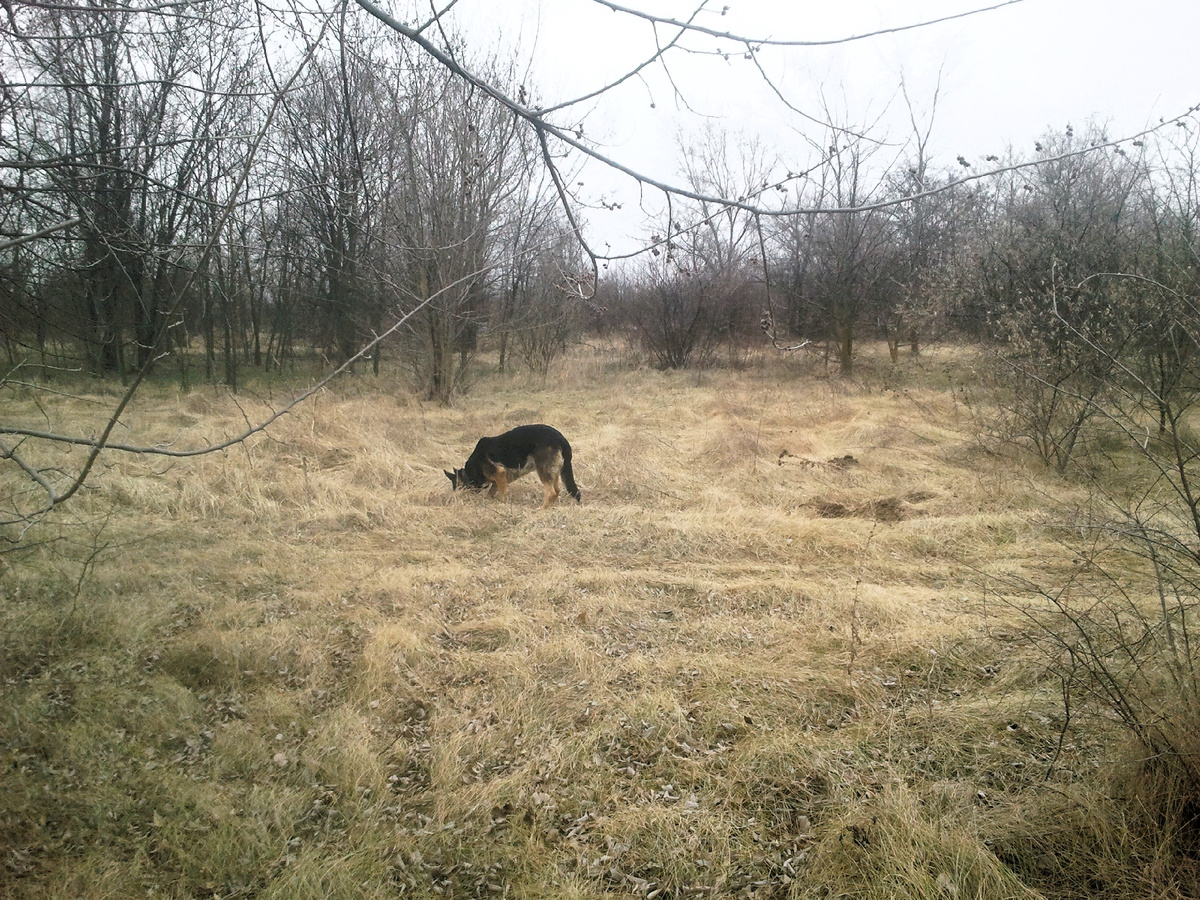 Фото автора