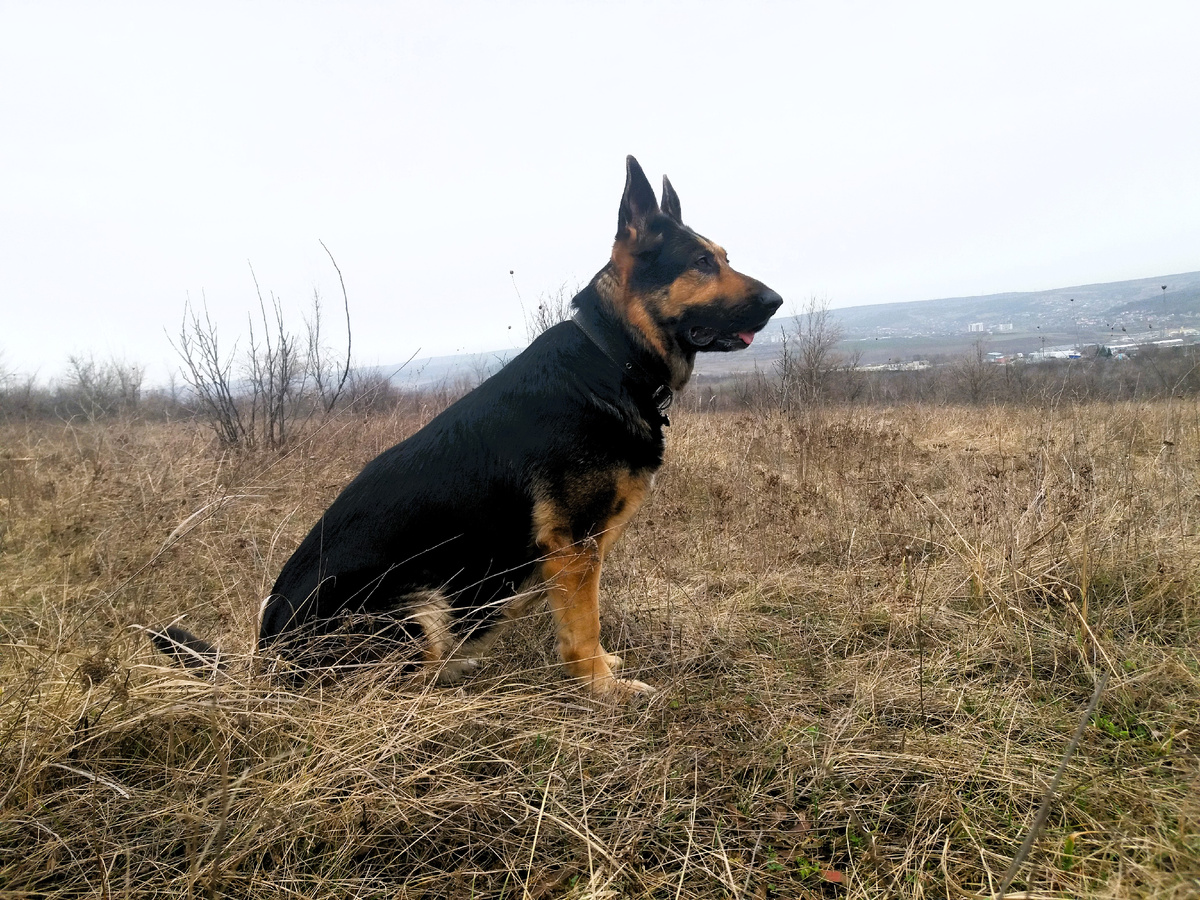 Фото автора