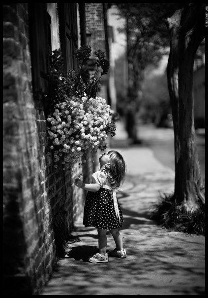 Яндекс. Картинки