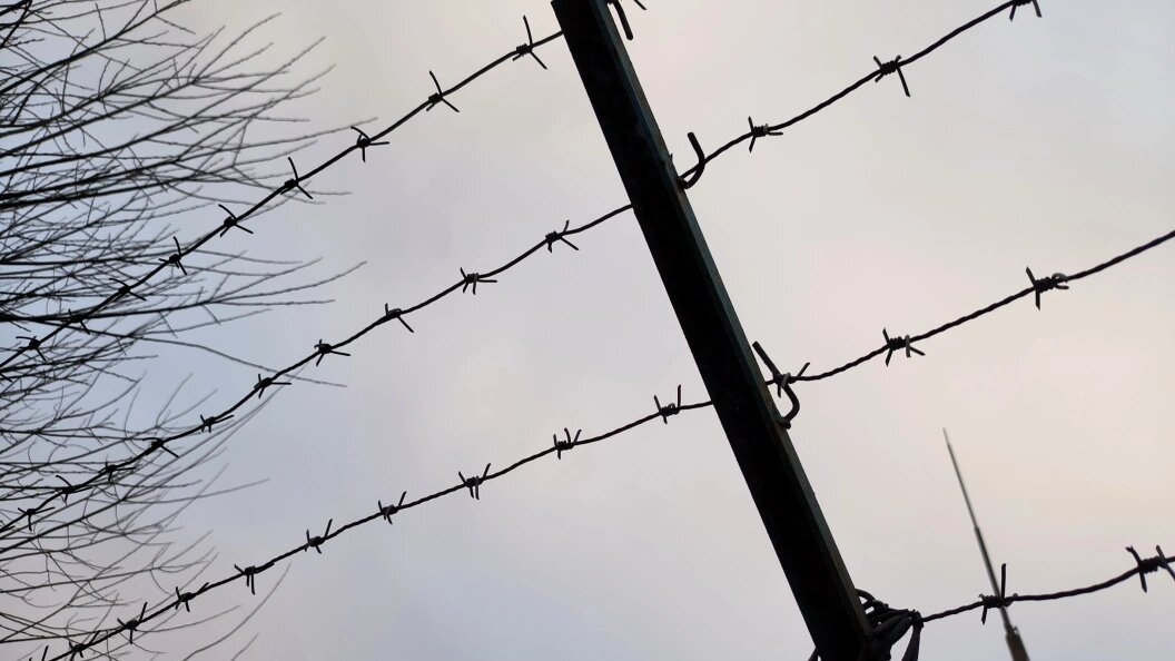    Максим Константинов/Globallookpress