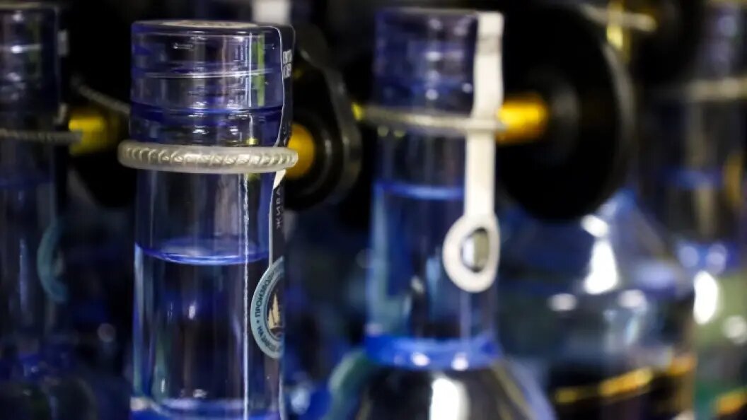    ФОТО: ELENA MAYOROVA/GLOBALLOOKPRESS