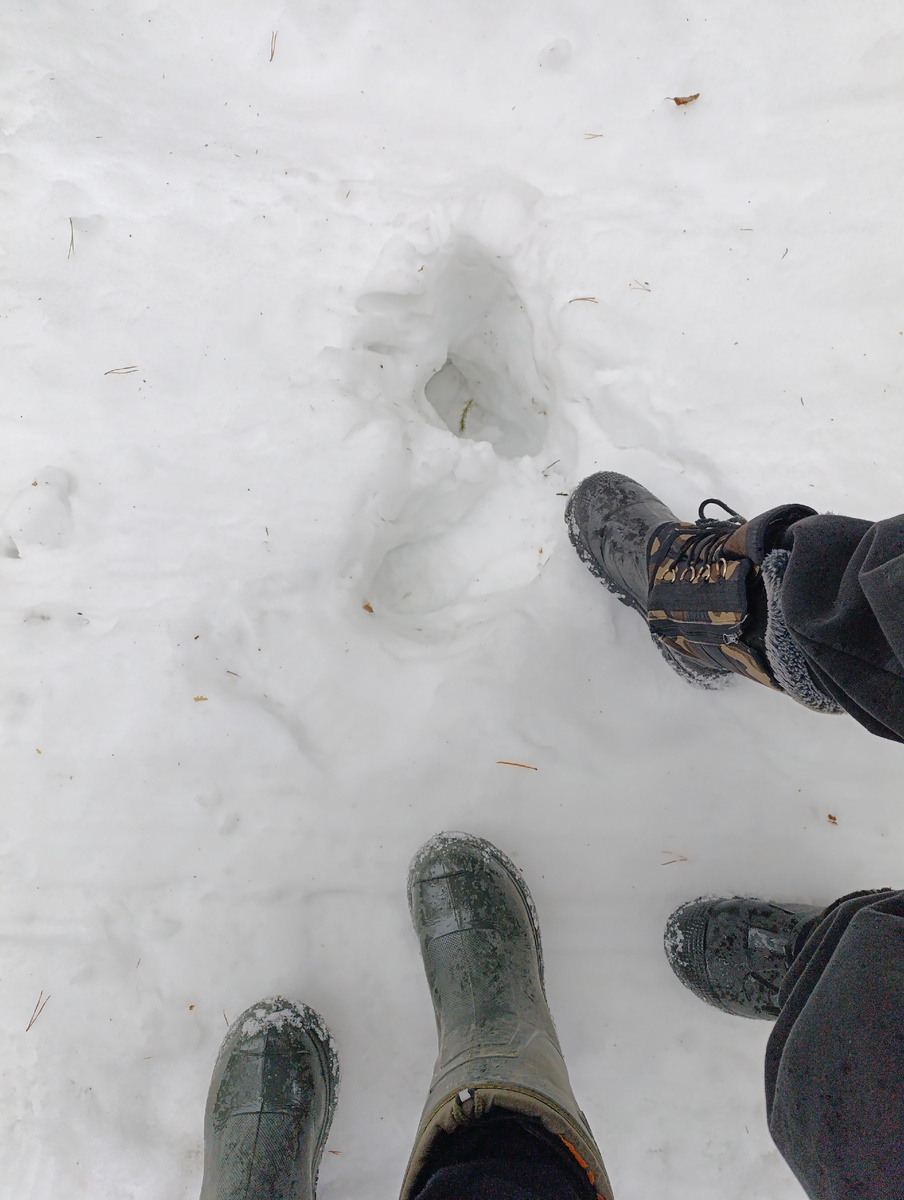 Фото Уралочка 