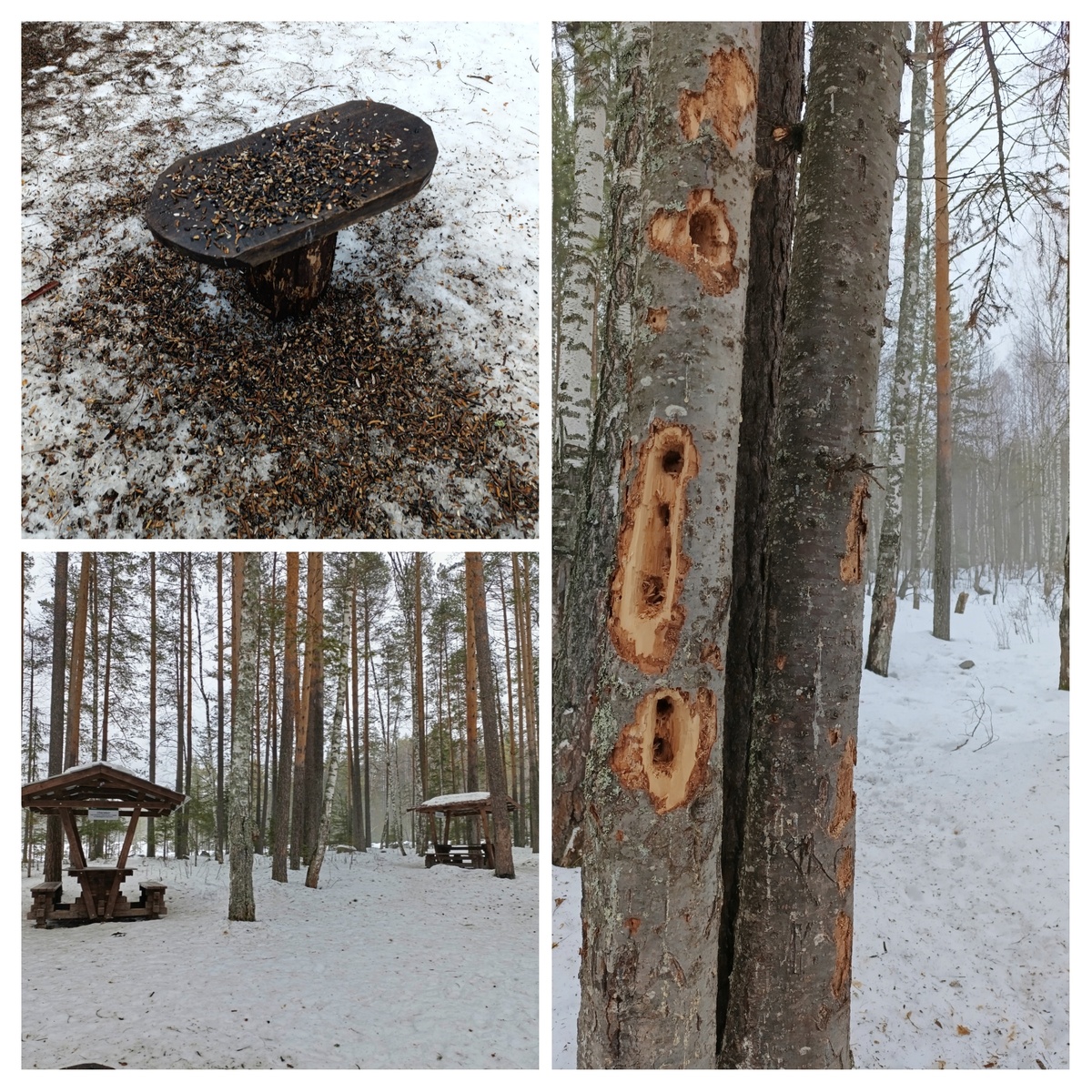 Фото Уралочка 