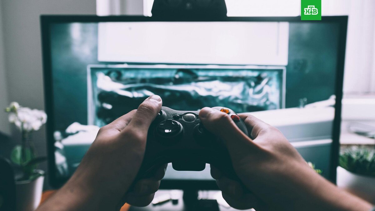    Фото: Glenn Carstens-Peters / unsplash.com