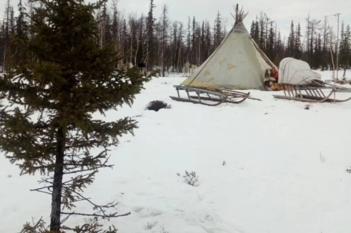    Двое детей насмерть замерзли в тундре ЯНАО