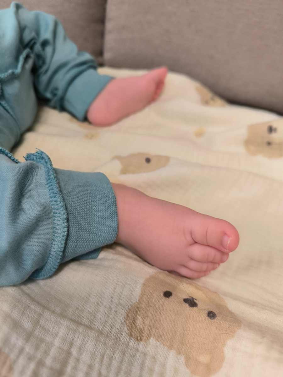 Фотографии в статье авторские