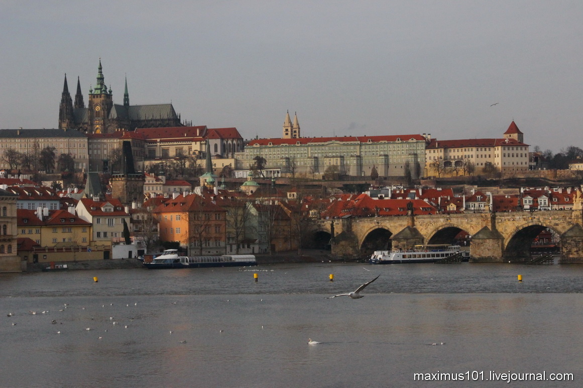 Фото автора.