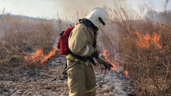    В Приморье за сутки произошло более 100 пожаров ©МЧС России/mchs.gov.ru