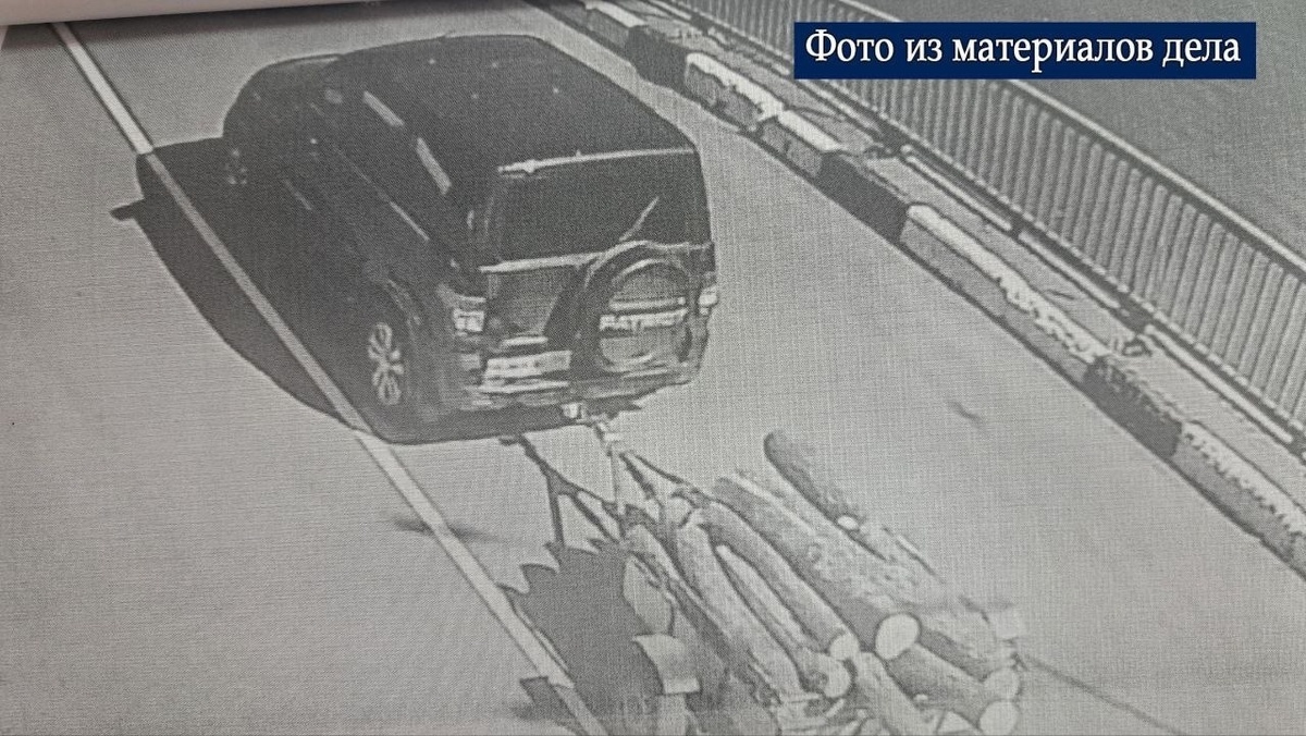    Курянин срубил деревья для топки бани и должен выплатить штраф 70 тысяч рублей