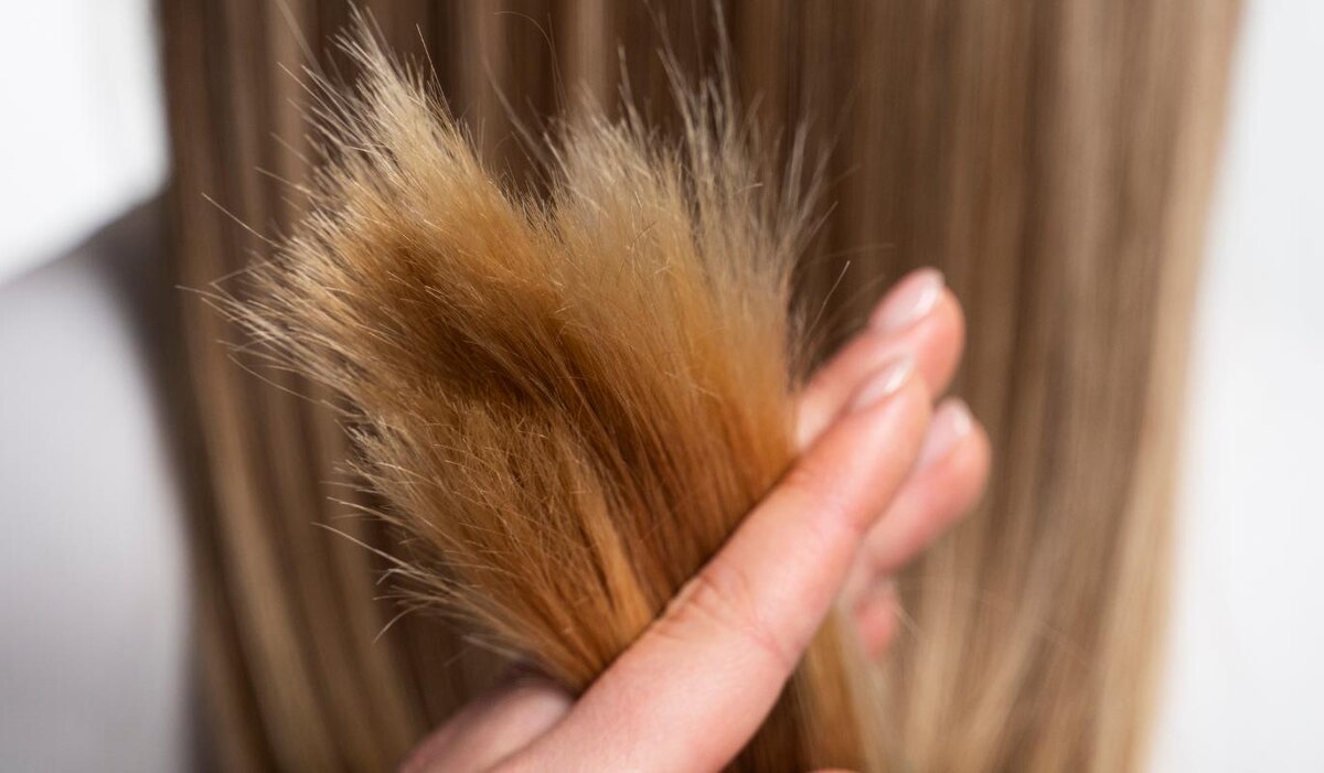     Секущиеся волосы: как ухаживать, чтобы отрастить здоровую длину